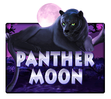 slotxo แตกง่าย Panther Moon v9 slotxo