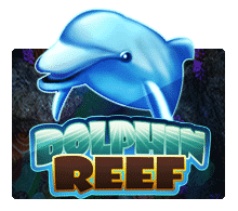 easy slotxo Dolphin Reef slotxo 444