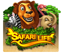 ถอนเงิน slotxo Safari Life joker slotxo