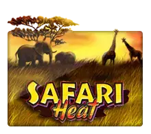 โปรโมชั่น slotxo Safari Heat slotxo dark
