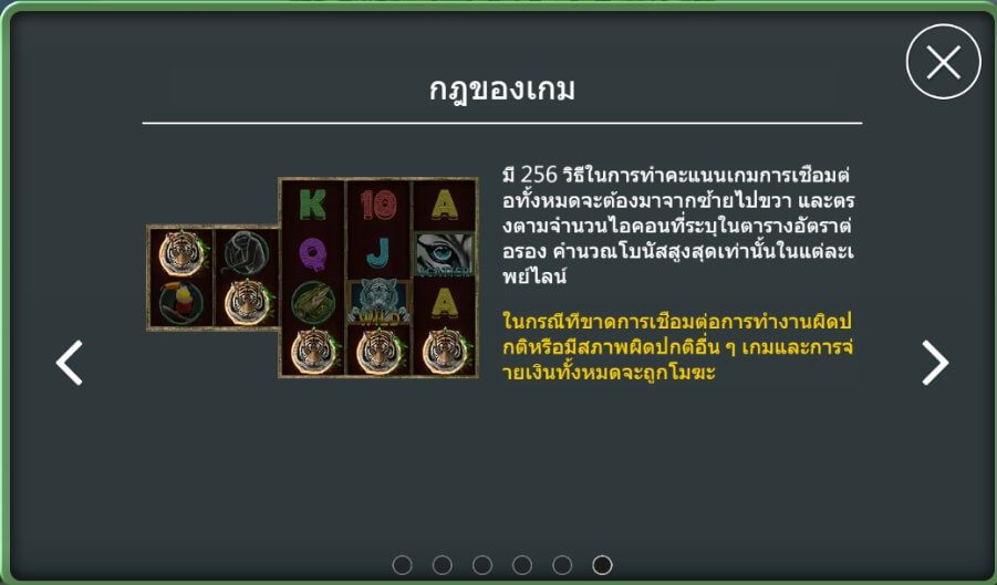 คำอธิบายเกี่ยวกับการเล่นเกมเจ้าเสือ