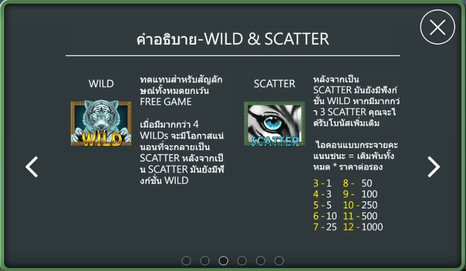 สัญลักษณ์พิเศษและฟีเจอร์โบนัสแจ็คพอตเจ้าเสือ