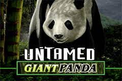 Untamed Giant Panda Microgaming สล็อตค่ายฟรีเครดิต 100%