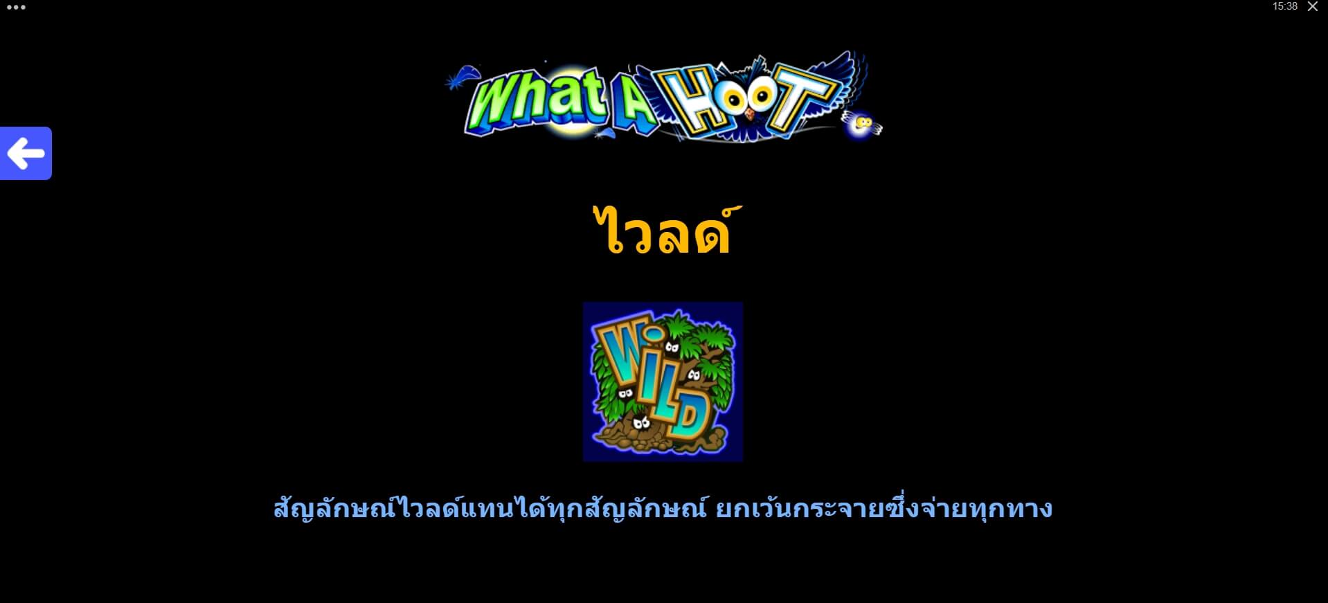 What A Hoot Microgaming ติดต่อ Superslot