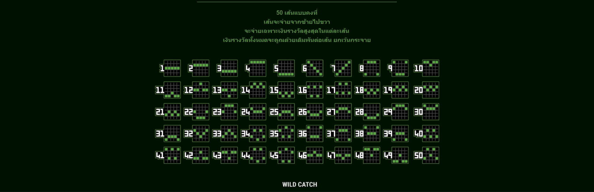 Wild Catch Microgaming ดาวน์โหลด Superslot