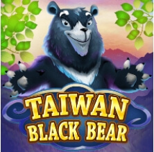 สล็อต ค่าย Taiwan Black Bear เว็บ ซุปเปอร์สล็อต