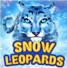 สล็อต ค่าย Snow Leopards เว็บ ซุปเปอร์สล็อต