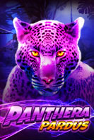 Panthera Pardus ทดลองเล่น LIVE22