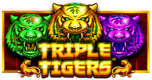 Pragmatic play Triple Tigers