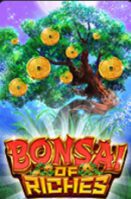 Bonsai of Riches ทางเข้า Live22 สล็อตเว็บตรง