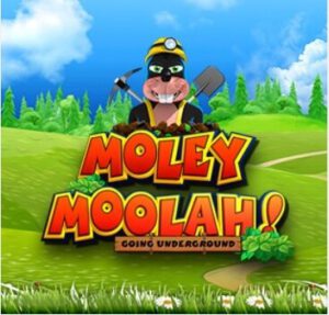 Moley Moolah YGGDRASIL