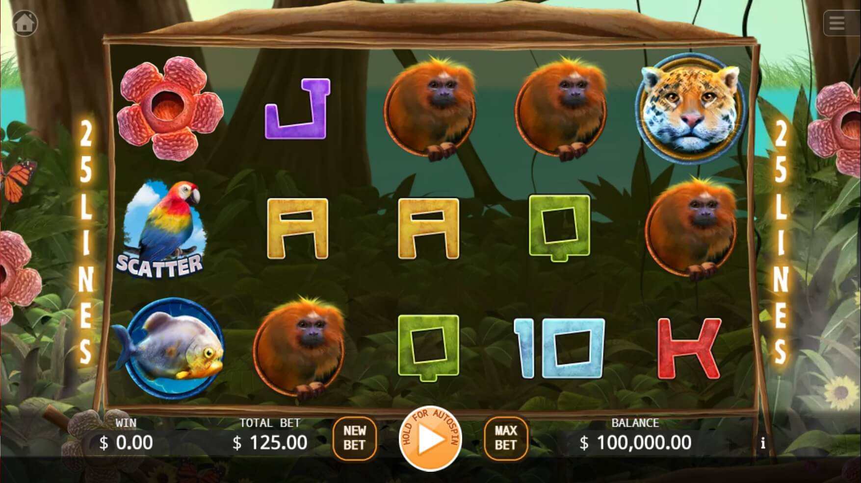 Primeval Rainforest ค่าย KA Gaming เว็บ Superslot