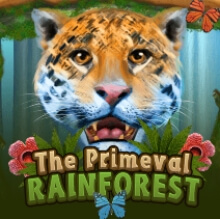 สล็อต ค่าย ka Primeval Rainforest เว็บ ซุปเปอร์สล็อต
