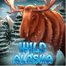 สล็อต ค่าย ka Wild Alaska เว็บ ซุปเปอร์สล็อต