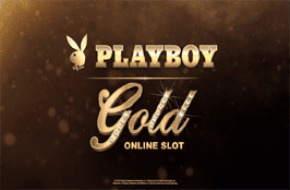 Playboy Microgaming สล็อตค่ายฟรีเครดิต 100%