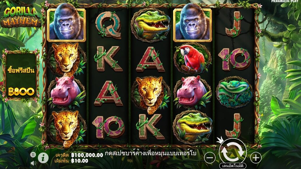 Gorilla Mayhem Pragmatic Play ฟรีเครดิต ซุปเปอร์สล็อต