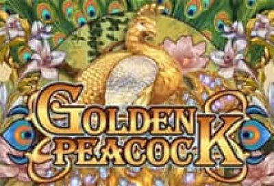 Golden Peacock ALLWAYSPIN บนเว็บ SUPERSLOT247
