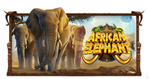 African Elephant Powernudge Play เครดิตฟรี 300 Superslot