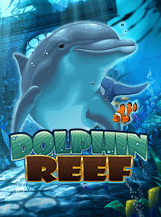 Dolphin Reef Ace333 777 superslot