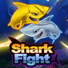 Shark Fight สล็อต ค่าย ka เว็บ ซุปเปอร์สล็อต