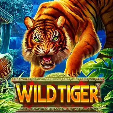 Wild Tiger FUNKY GAMES ค่าย เว็บ Superslot