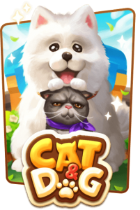Cat & Dog SPINIX ทางเข้า Superslot Cat & Dog SPINIX ทางเข้า Superslot
