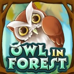Owl In Forest สล็อต ค่าย ka เว็บ ซุปเปอร์สล็อต