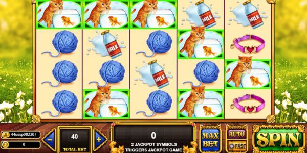 Pop Kittens Live22 Superslot Wallet