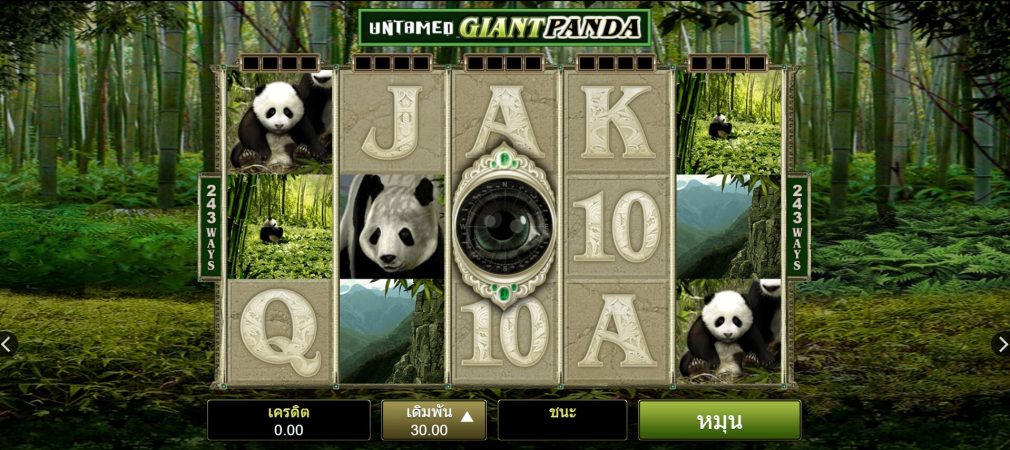 Untamed Giant Panda Microgaming ทางเข้า Superslot Wallet
