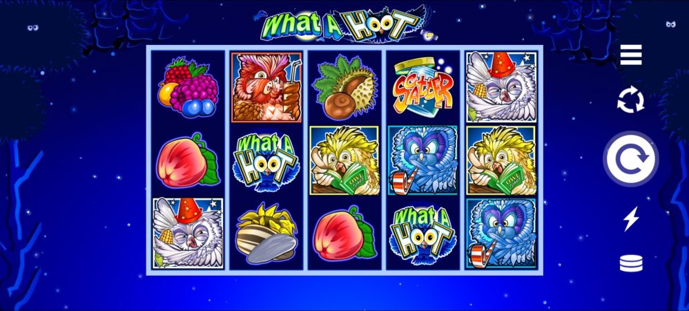 What A Hoot Microgaming ทางเข้า Superslot Wallet